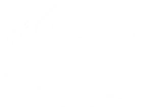 RenoPickleball.org